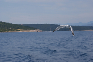 Vrbnik na ostrově Krk